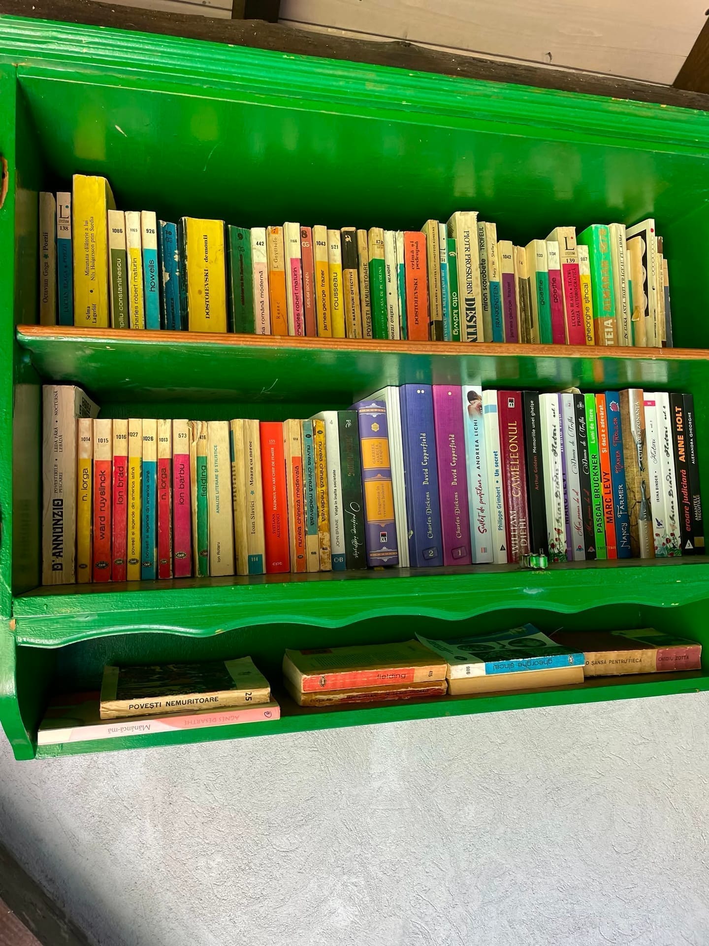 Biblioteca din Livada